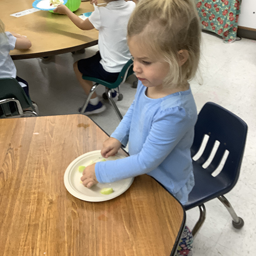 Preschool girl slicing apples